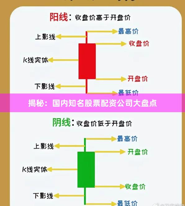 揭秘：国内知名股票配资公司大盘点