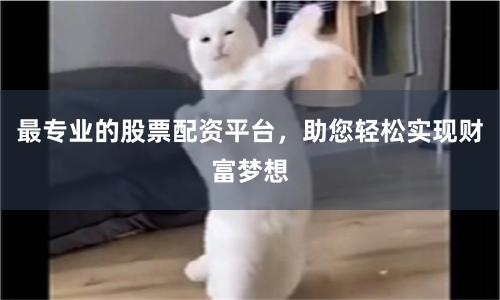 最专业的股票配资平台,助您轻松实现财富梦想