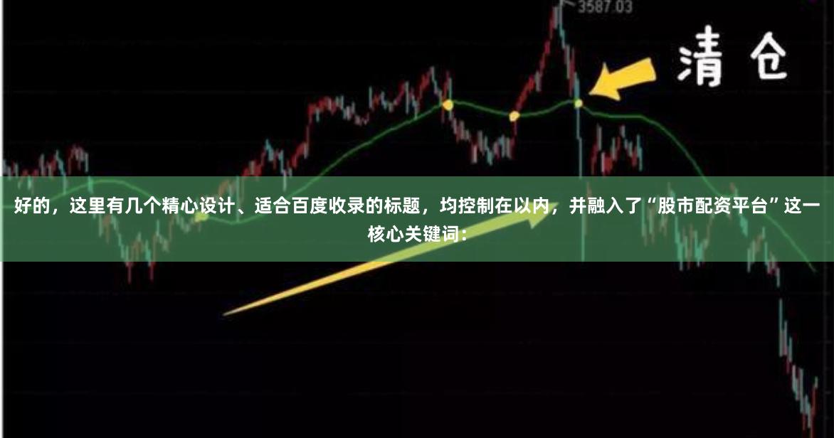 好的，这里有几个精心设计、适合百度收录的标题，均控制在以内，并融入了“股市配资平台”这一核心关键词：