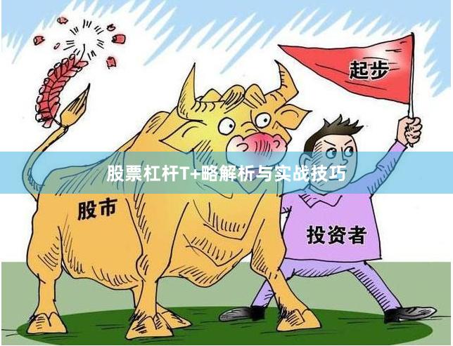 股票杠杆T+略解析与实战技巧