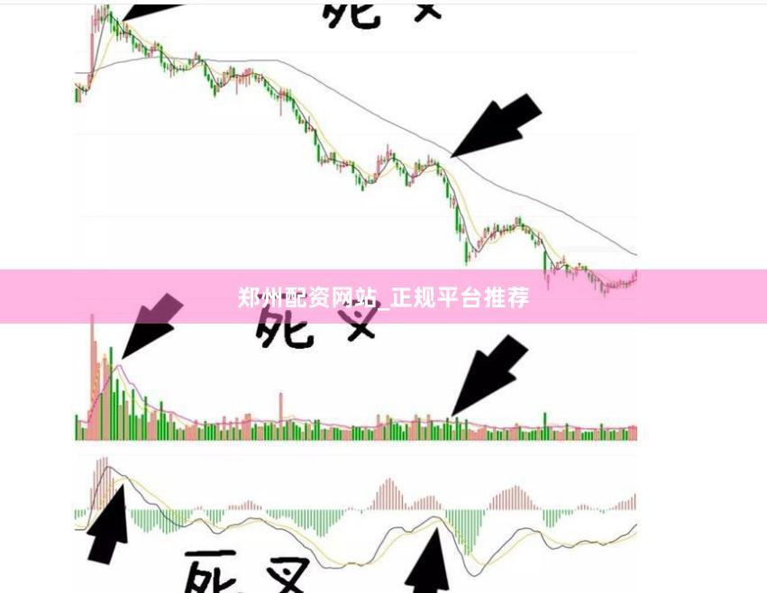 郑州配资网站_正规平台推荐